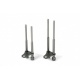 A-Type Snag Ears  TAS1641-1642