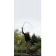 Fox Horizon X5 Rod
