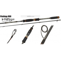 Спиннинг Fishing ROI Vintage