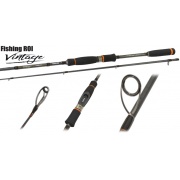 Спиннинг Fishing ROI Vintage