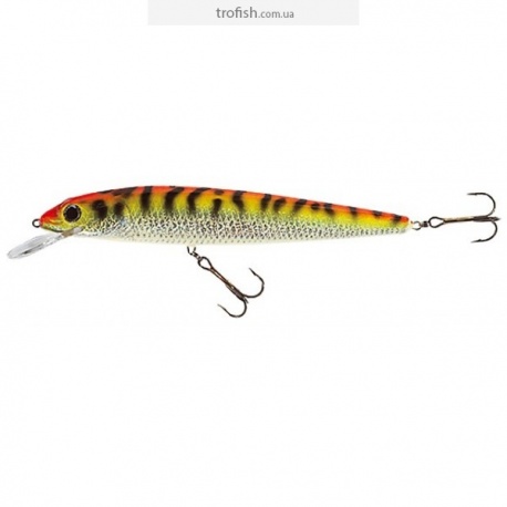Jaxon  Fish Mix F  VJ-W21