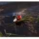 Crazy Fish Силиконовые приманки Vibro Fat 4''