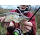 Crazy Fish Силиконовые приманки Vibro Fat 4''
