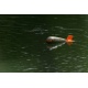 Ракета Prologic Airbomb L