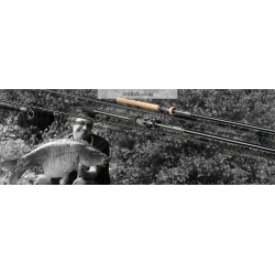 	Удилище карповое  Specimen NXT Carp 13" 3,50lbs 