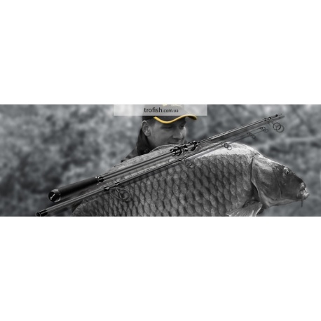 Удилище карповое SPORTEX Brilliant Carp 13" 3,5lbs 