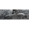 Sportex Удилище карповое  Brilliant Carp 13" 3,5lbs 