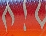 PP50