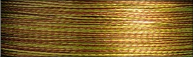 algae