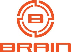 Brain 