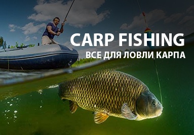 Карповая программа
